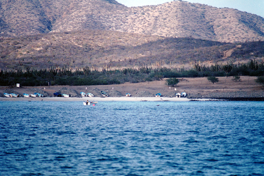 The Anchorage at Los Muertos