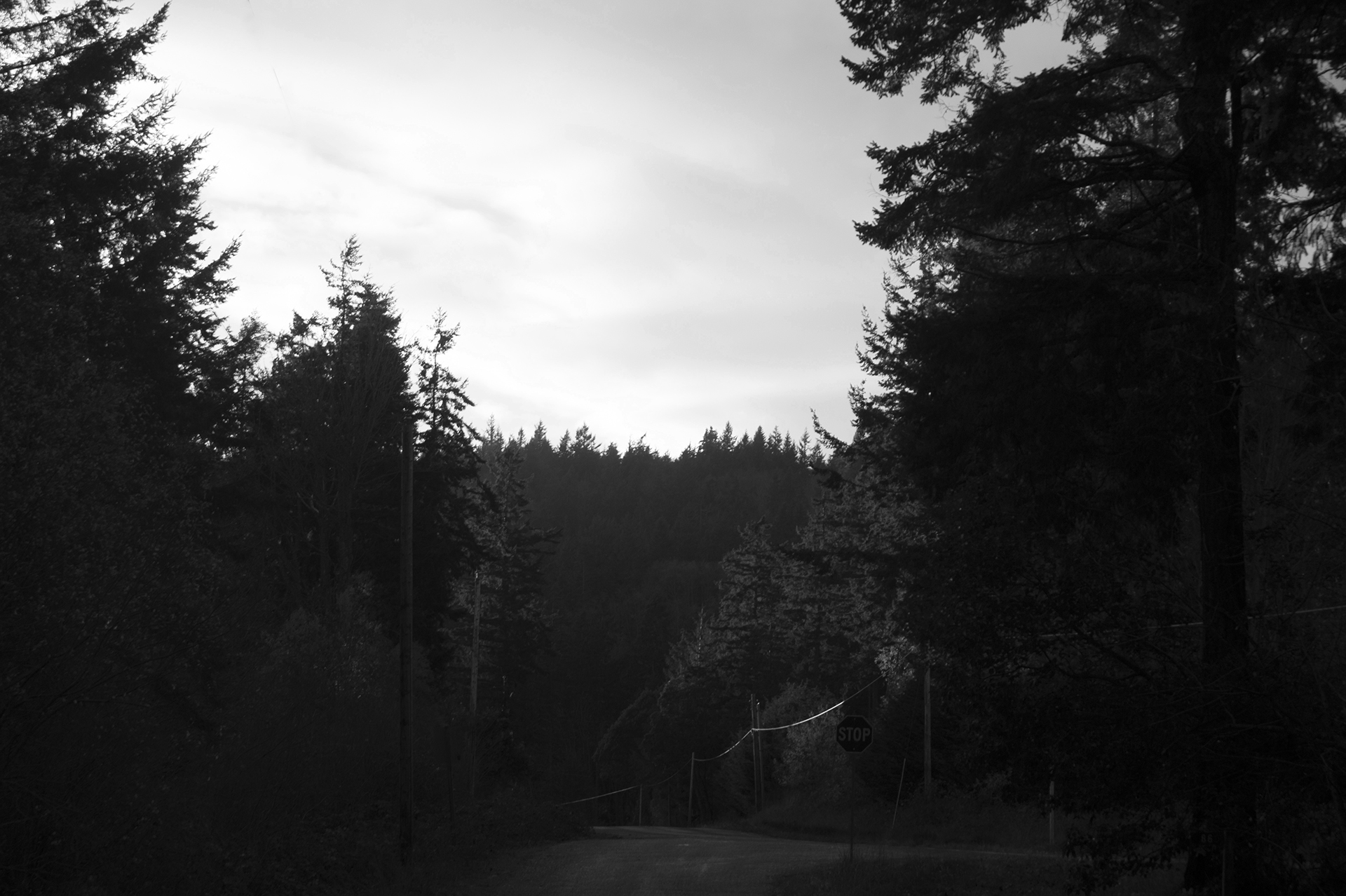 B&W photo All Downhill from Here