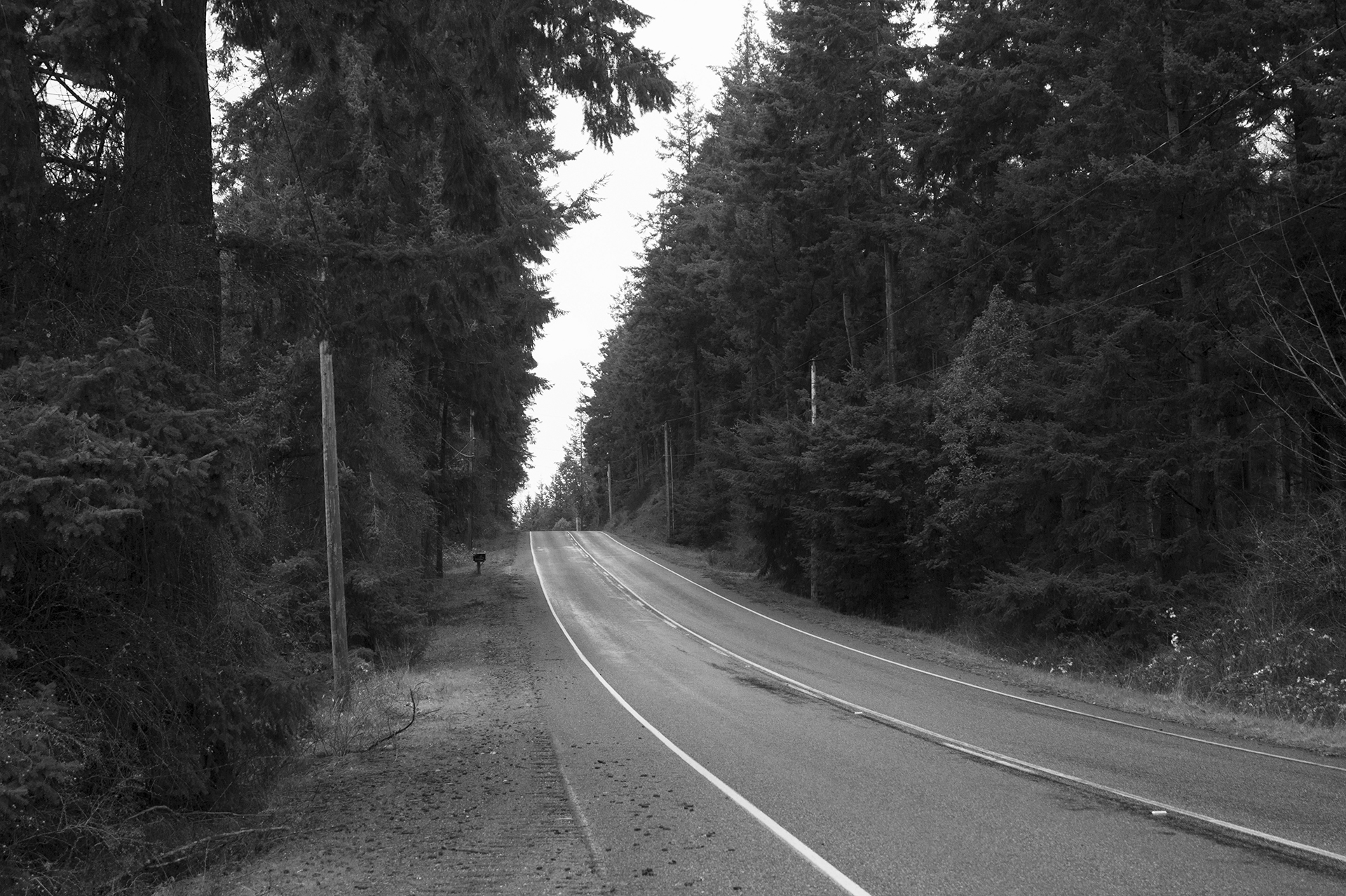 B&W photo The Road not Taken